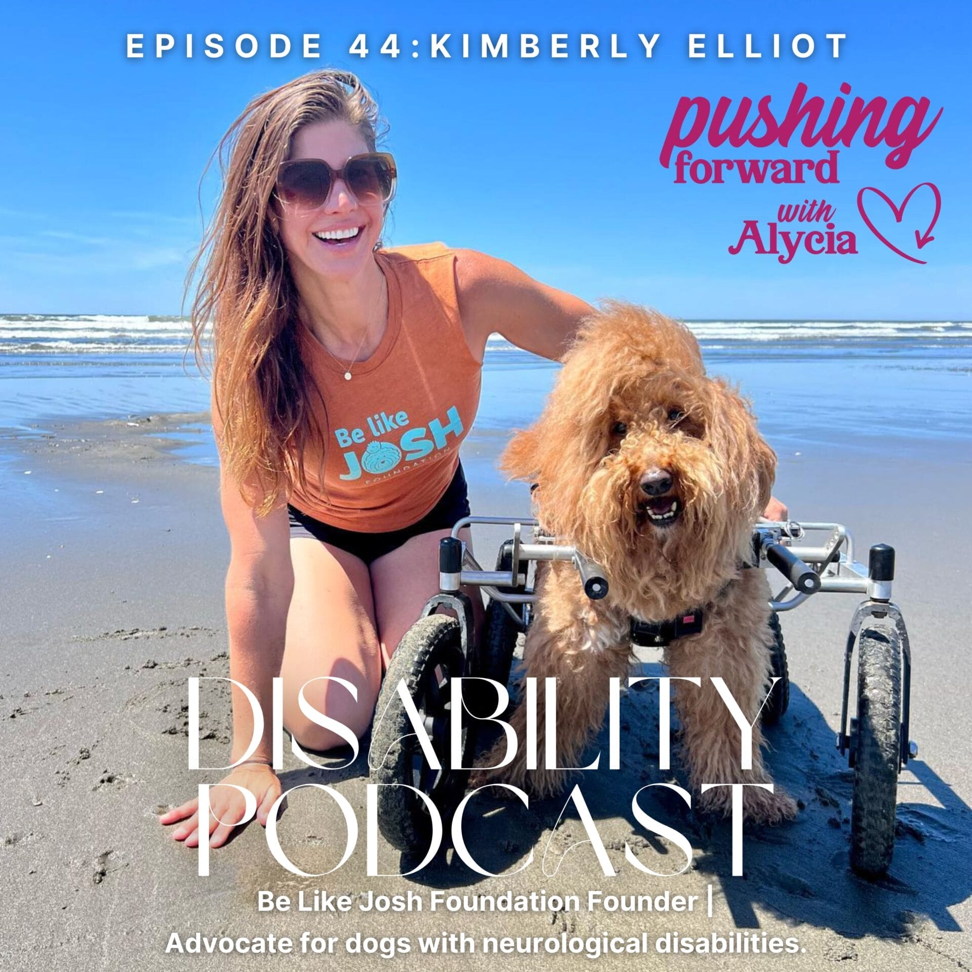 episode forty four pushing forward with alycia kimberly elliott be like josh foundation founder and advocate for dogs with neurological disabilities