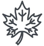 When Autumn Comes Podcast logo